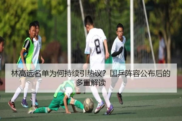 林高远名单为何持续引热议？国乒阵容公布后的多重解读
